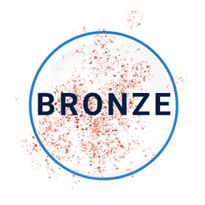 Sponsor Bronze