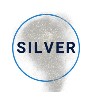 Sponsor Silver